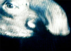 A picture of the ERZ power plant chimney and of the Prime Tower in Zurich