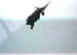 A picture of the ERZ power plant chimney and of the Prime Tower in Zurich