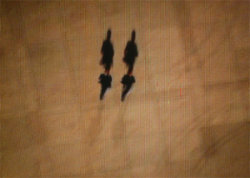 A picture of the ERZ power plant chimney and of the Prime Tower in Zurich