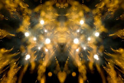 A photograph of fireworks