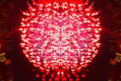 A photograph of fireworks