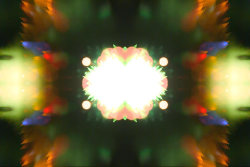 A photograph of fireworks